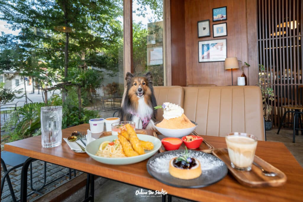 Hotto bun ลาดกระบัง ホットバン ฟีลเจแปน ก็แค่ ลาดกระบัง Pet Friendly ปิด 3 ทุ่ม 30 Hotto bun ลาดกระบัง ホットバン ฟีลเจแปน ก็แค่ ลาดกระบัง Pet Friendly ปิด 3 ทุ่ม 23