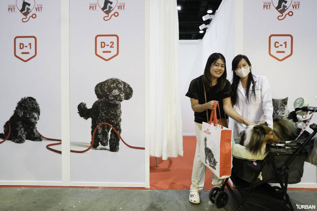 พาหมาปรึกษา ปรึกษา Vet Service ที่บูธ ROYALCANIN ในงาน PET EXPO 2023 10 พาหมาปรึกษา ปรึกษา Vet Service ที่บูธ ROYALCANIN ในงาน PET EXPO 2023 10