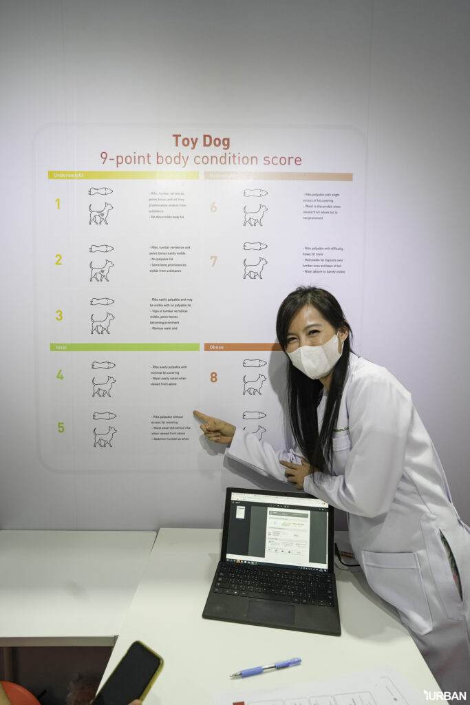 พาหมาปรึกษา ปรึกษา Vet Service ที่บูธ ROYALCANIN ในงาน PET EXPO 2023 9 พาหมาปรึกษา ปรึกษา Vet Service ที่บูธ ROYALCANIN ในงาน PET EXPO 2023 9