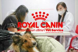 Home 6