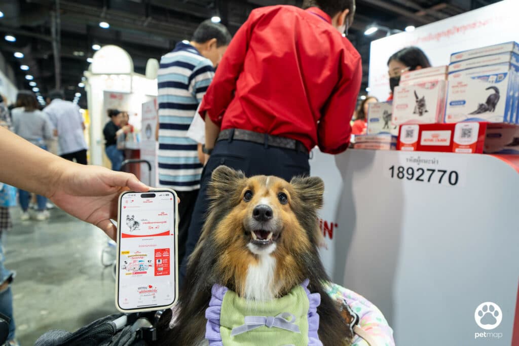 บูธโรยัล คานิน พาค้นพบขุมทรัพย์ความรู้ด้านโภชนาการในงาน Pet Expo Thailand 2024 6 บูธโรยัล คานิน พาค้นพบขุมทรัพย์ความรู้ด้านโภชนาการในงาน Pet Expo Thailand 2024 6