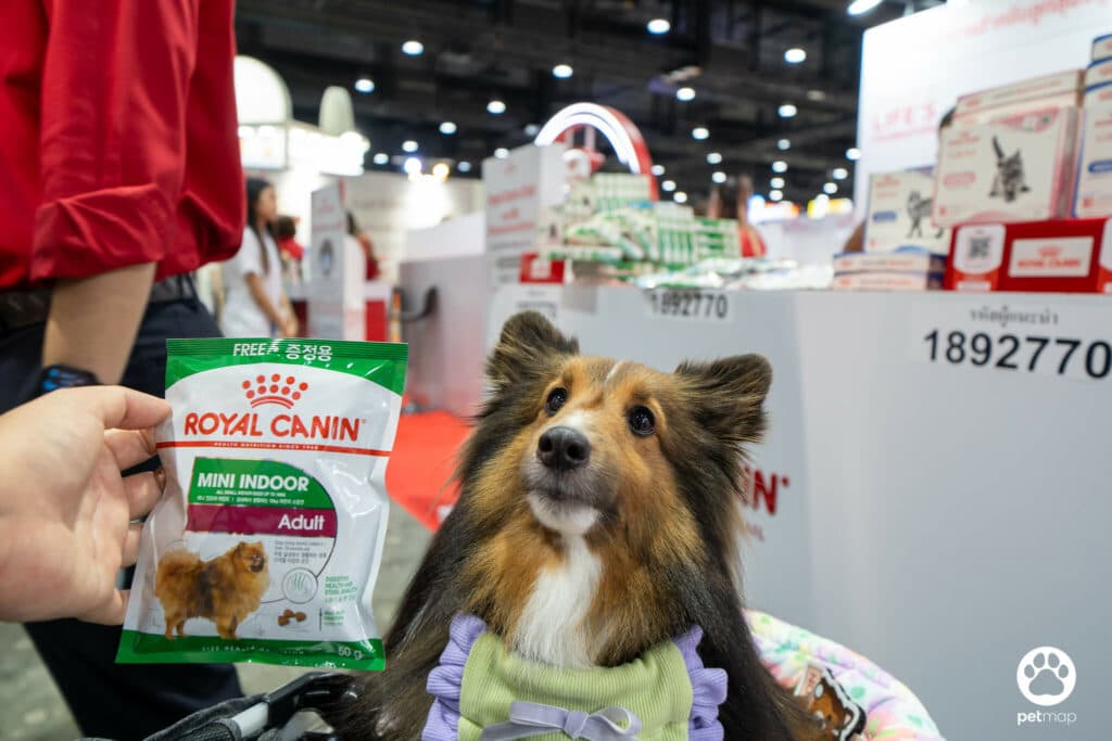 บูธโรยัล คานิน พาค้นพบขุมทรัพย์ความรู้ด้านโภชนาการในงาน Pet Expo Thailand 2024 7 บูธโรยัล คานิน พาค้นพบขุมทรัพย์ความรู้ด้านโภชนาการในงาน Pet Expo Thailand 2024 7