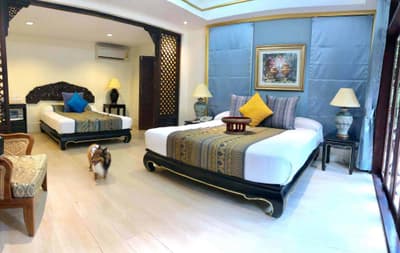 Rabbit Resort Pattaya 2