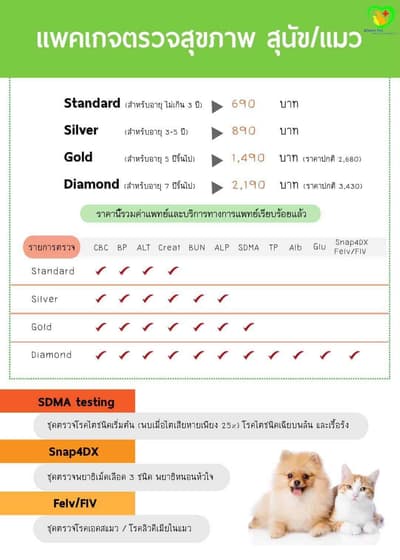 Mister Pet Animal Hospital 9