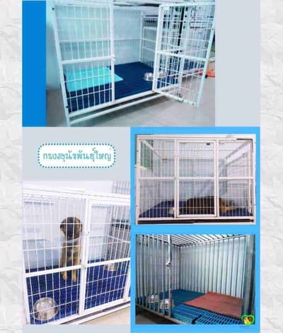 Mister Pet Animal Hospital 2
