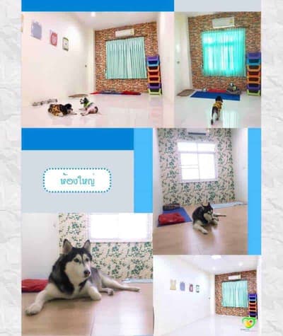 Mister Pet Animal Hospital 4