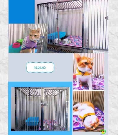 Mister Pet Animal Hospital 7