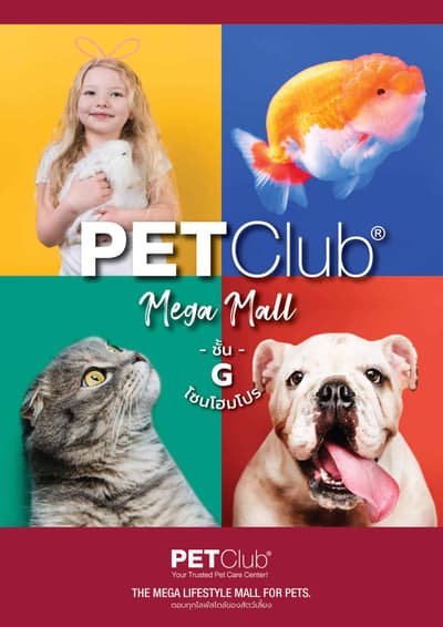 PETClub (Megabangna) 7