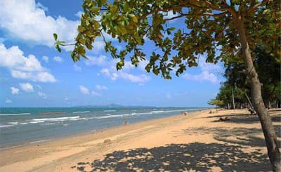 Rabbit Resort Pattaya 8