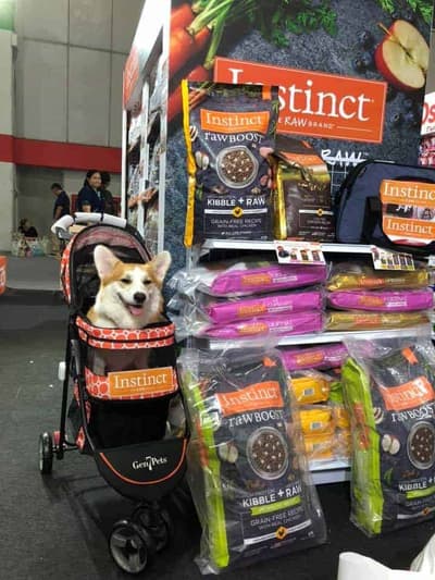 OSDCO Pet & U Living Space 4