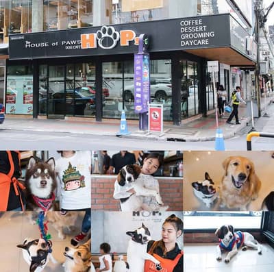 HoPs Dog Cafe 3