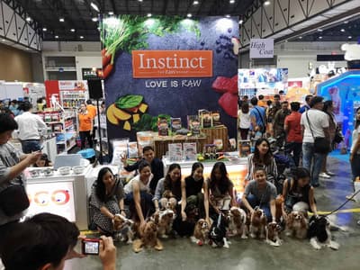 OSDCO Pet & U Living Space 1