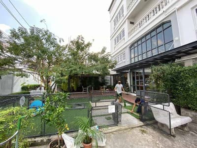 Dog's Tale Bangkok 6