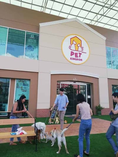 PET KINGDOM 6