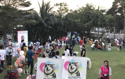 Dog Sport Club (ประเสริฐมนูกิจ) 1