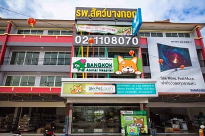 โรงพยาบาลสัตว์บางกอก (กัลปพฤกษ์) Bangkok Animal Hospital (Kallapaphruk) 1