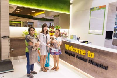 โรงพยาบาลสัตว์บางกอก (กัลปพฤกษ์) Bangkok Animal Hospital (Kallapaphruk) 2