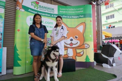 โรงพยาบาลสัตว์บางกอก (กัลปพฤกษ์) Bangkok Animal Hospital (Kallapaphruk) 3