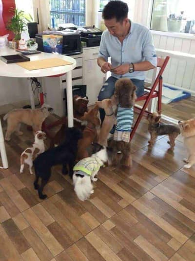 ASILO Pet Spa & Hotel 1