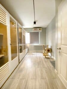 Catwalk Hotel 2
