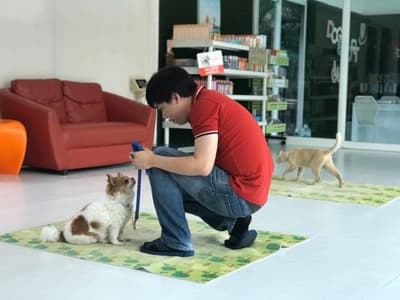 Dog Sport Club (ประเสริฐมนูกิจ) 2