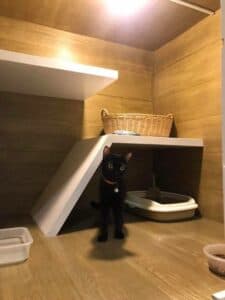Catwalk Hotel 4