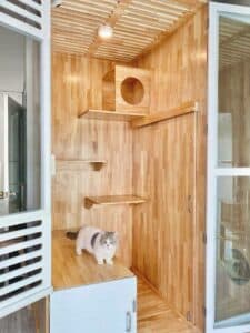Catwalk Hotel 9