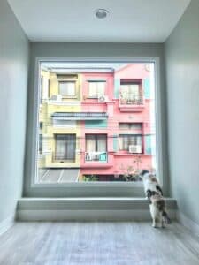 Catwalk Hotel 5