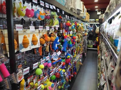 Pet Lovers Centre สาขา เดอะมอลล์บางแค 5