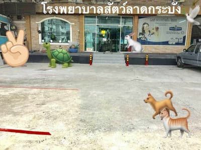 โรงพยาบาลสัตว์ลาดกระบัง 3