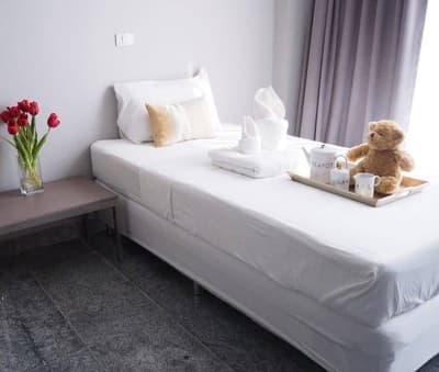 โรงพยาบาลสัตว์ทองหล่อ สาขาติวานนท์