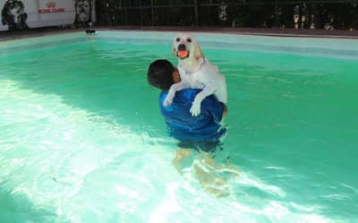 Dog Sport Club (ประเสริฐมนูกิจ) 5
