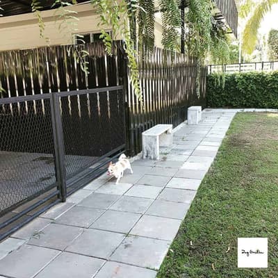 Dog Garden Hotel 2