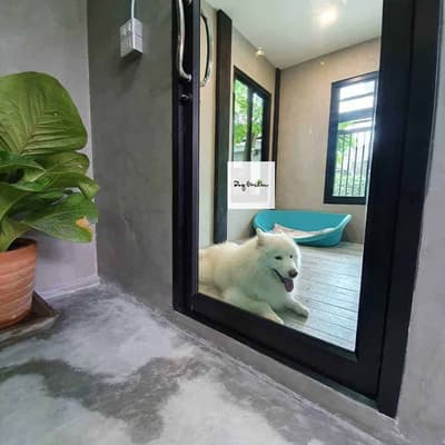 Dog Garden Hotel 3