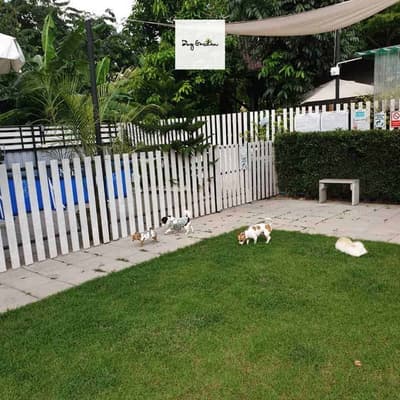 Dog Garden Hotel 5