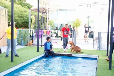 Dogxercise 5