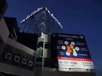 โรงพยาบาลสัตว์วังหิน 4