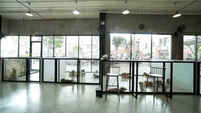 Pet Public 2