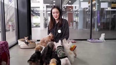 Pet Public 5