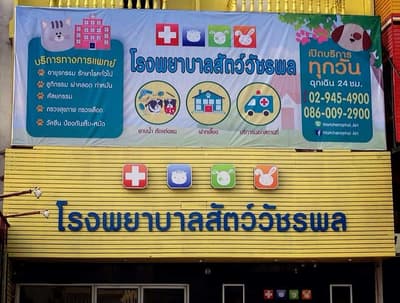 โรงพยาบาลสัตว์วัชรพล 1