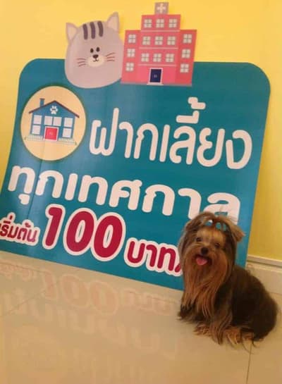 โรงพยาบาลสัตว์วัชรพล 3