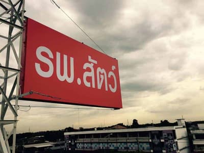 โรงพยาบาลสัตว์แสนดี 2