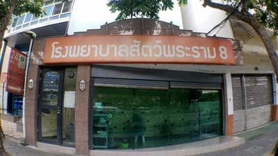โรงพยาบาลสัตว์พระราม 8 (ราชพฤกษ์) 8