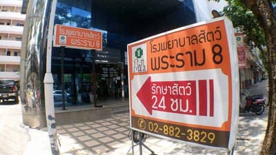 โรงพยาบาลสัตว์พระราม 8 (ราชพฤกษ์) 7