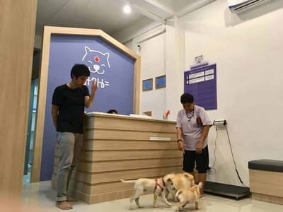 โรงพยาบาลสัตว์มานะ 6