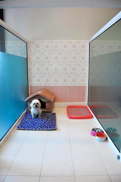 Box Box Dog House 2