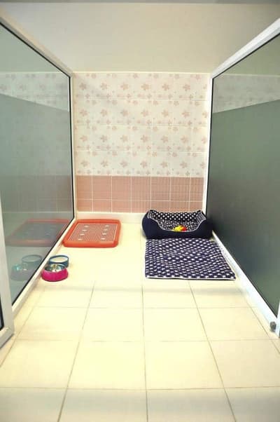Box Box Dog House 4