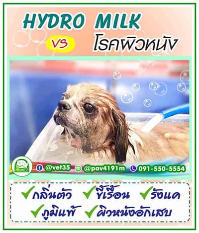 โรงพยาบาลสัตว์ประชาชื่น 35 Vet Prachacheun 35 1