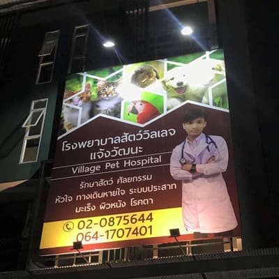 โรงพยาบาลสัตว์วิลเลจ (แจ้งวัฒนะ) 3