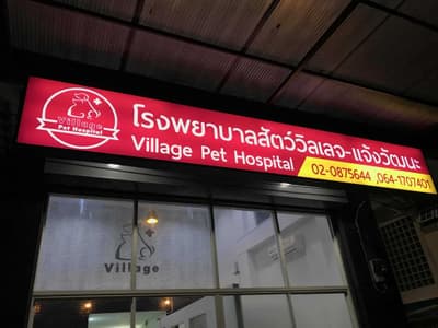 โรงพยาบาลสัตว์วิลเลจ (แจ้งวัฒนะ) 4